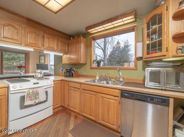 kitchen featuring hardwood / wood-style flooring, a healthy amount of sunlight, gas range gas stove, and stainless steel dishwasher