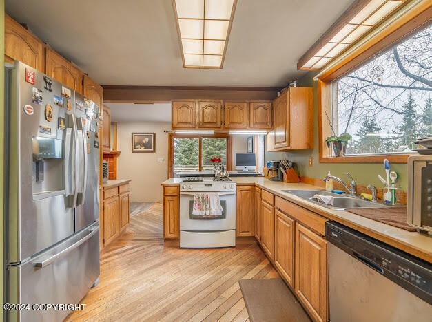 kitchen with appliances with stainless steel finishes, sink, and light hardwood / wood-style floors