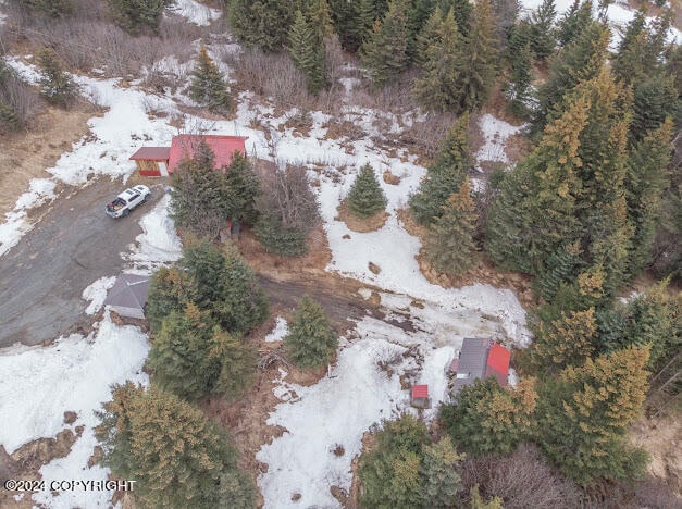 view of snowy aerial view