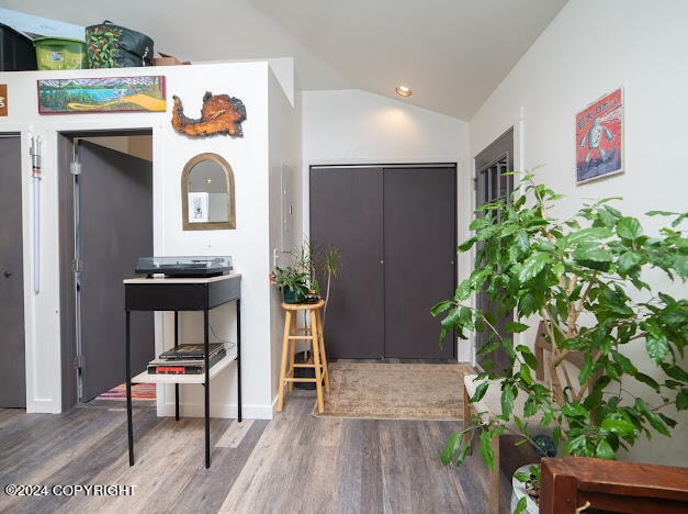 entrance foyer with lofted ceiling and hardwood / wood-style flooring