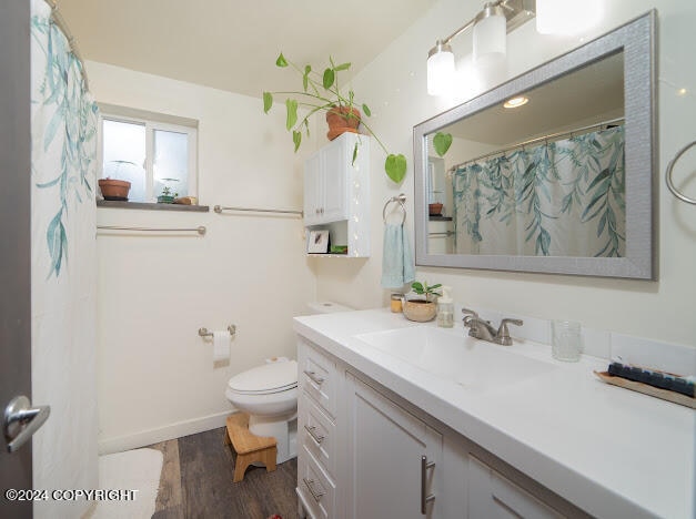 bathroom with vanity, hardwood / wood-style flooring, and toilet