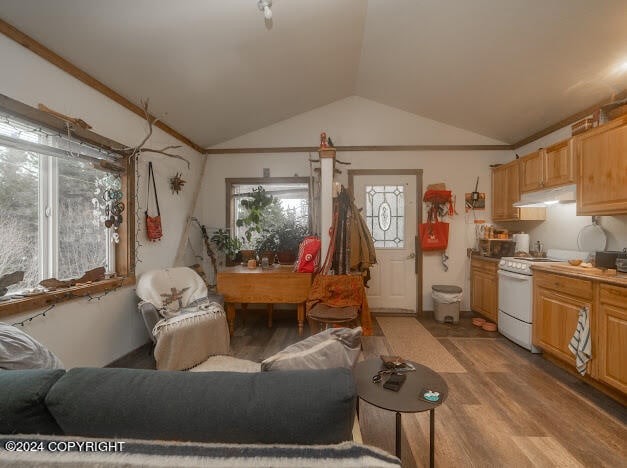 living room with light hardwood / wood-style flooring and vaulted ceiling