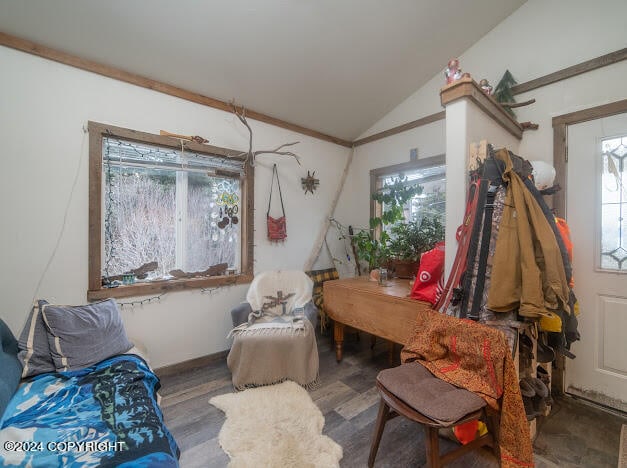 living area featuring wood-type flooring and vaulted ceiling