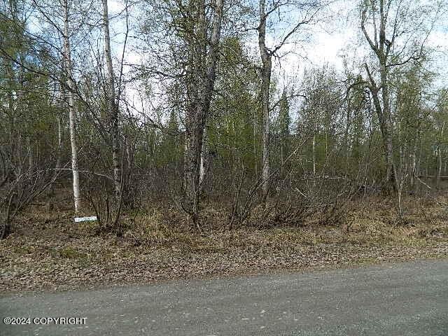 19117 W Blue Goose Dr, Wasilla AK, 99654 land for sale