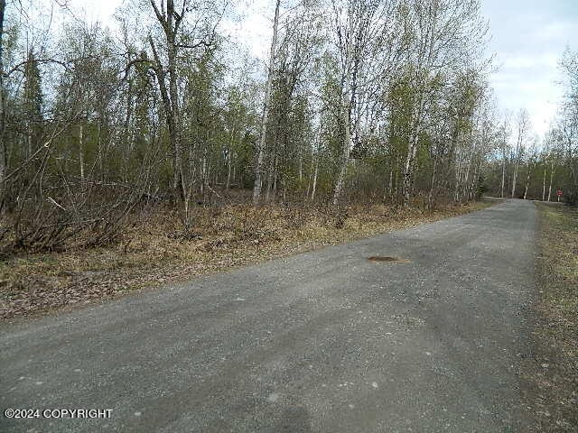 Listing photo 2 for 19117 W Blue Goose Dr, Wasilla AK 99654