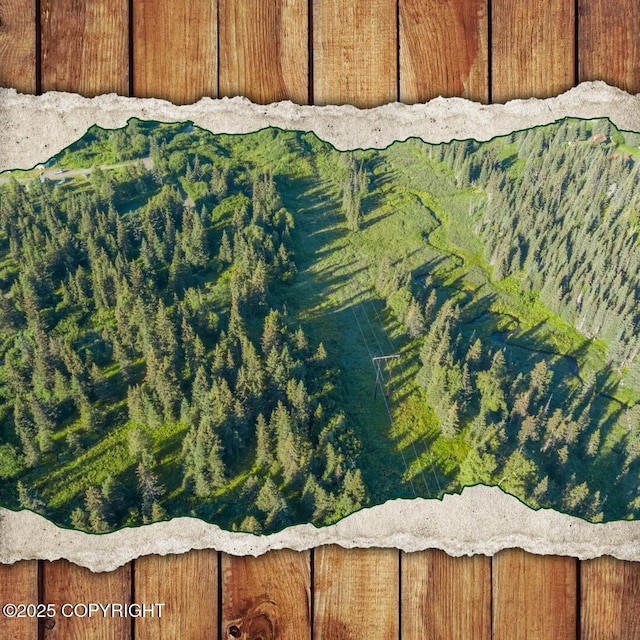 68650 Homestead Rd, Ninilchik, AK 99639 - photo 1