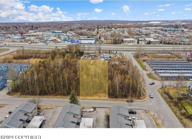 7210 Meadow St, Anchorage AK, 99507 land for sale