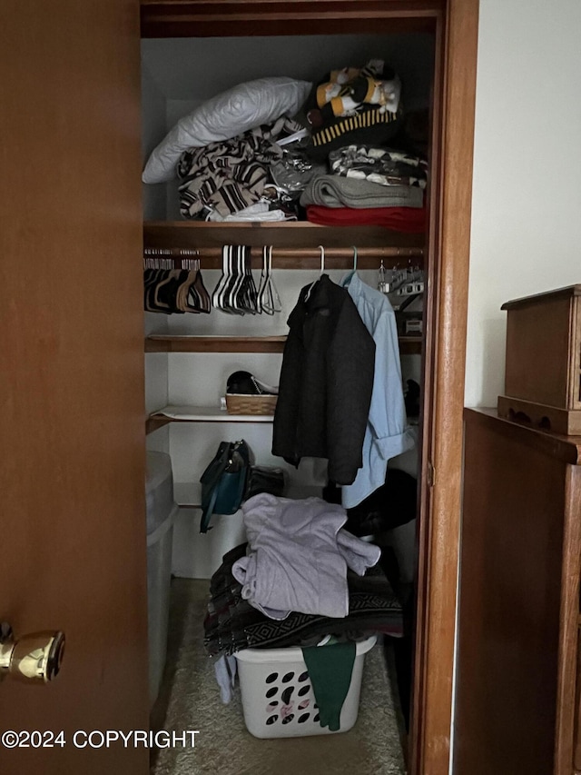 view of closet