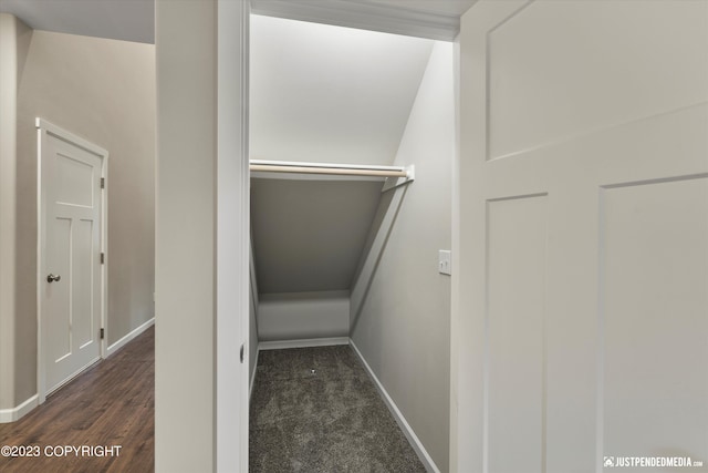 walk in closet with dark colored carpet