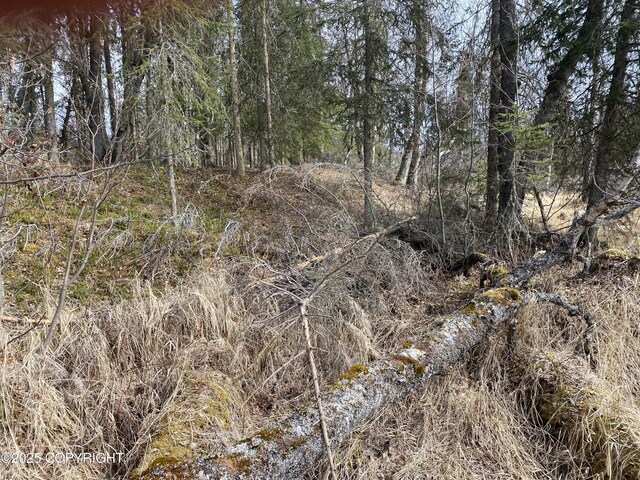 37157 King Country Pl, Soldotna, AK 99669 - photo 4