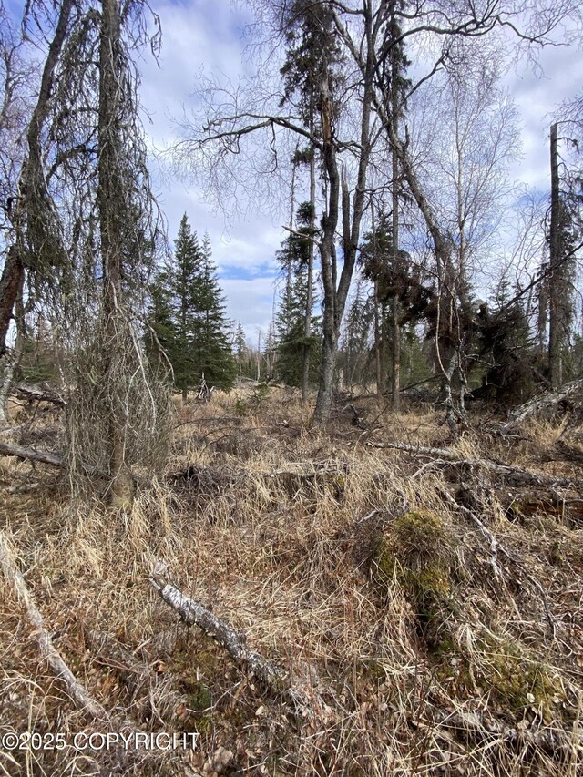37157 King Country Pl, Soldotna, AK 99669 - photo 5