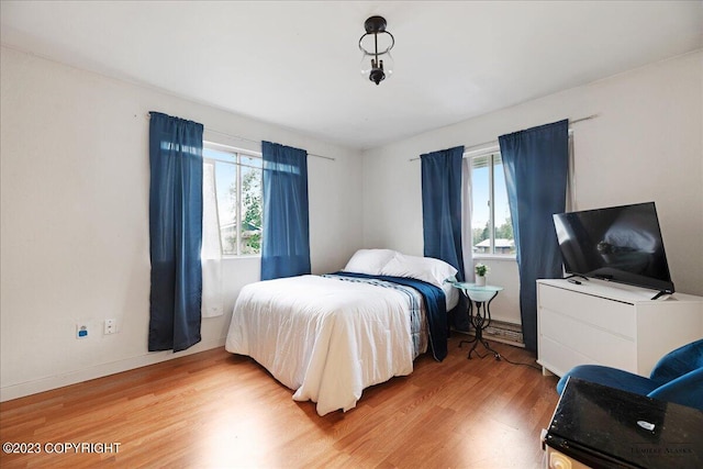 bedroom featuring multiple windows and wood-type flooring