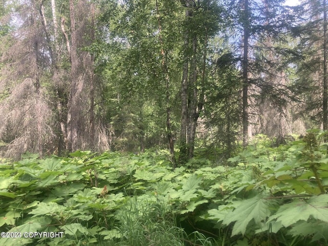 Listing photo 3 for NHN N Copperspike, Wasilla AK 99654