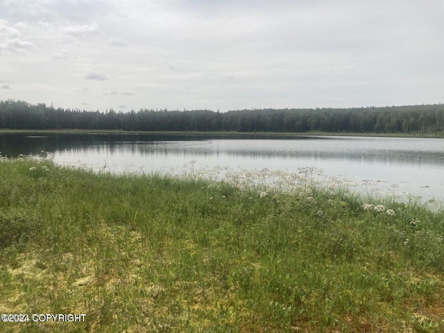 NHN N Copperspike, Wasilla AK, 99654 land for sale