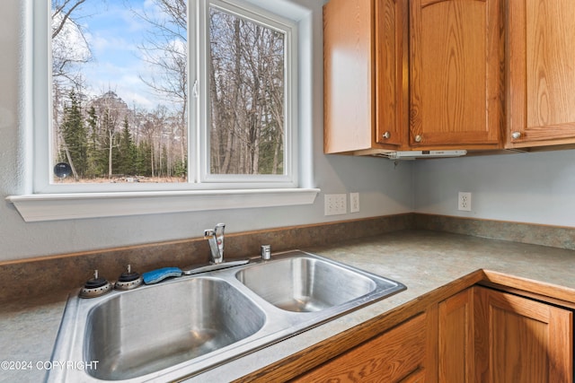 kitchen with sink