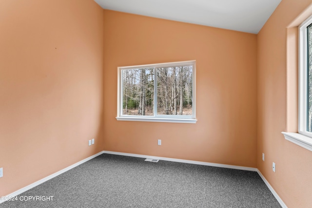 carpeted spare room featuring a wealth of natural light