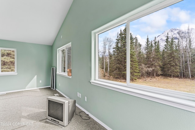 unfurnished sunroom with vaulted ceiling