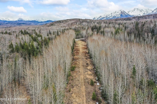 view of mountain feature