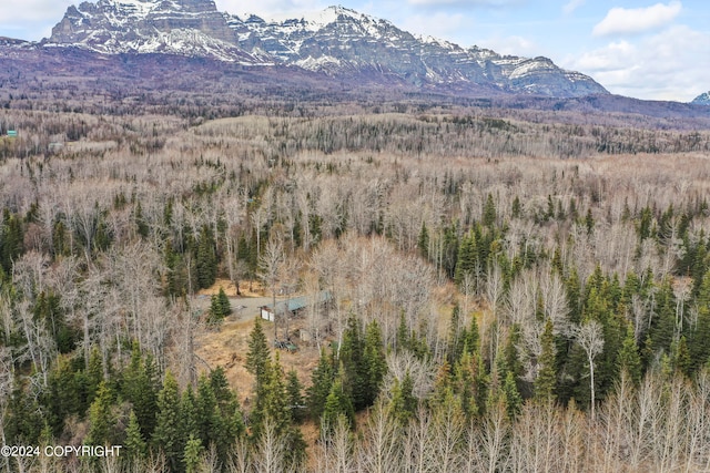 view of property view of mountains