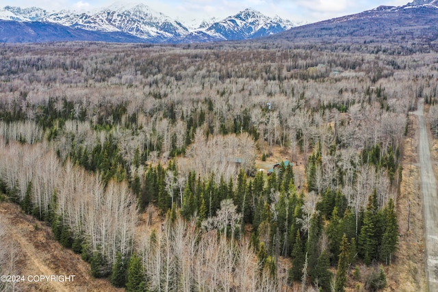 view of mountain feature