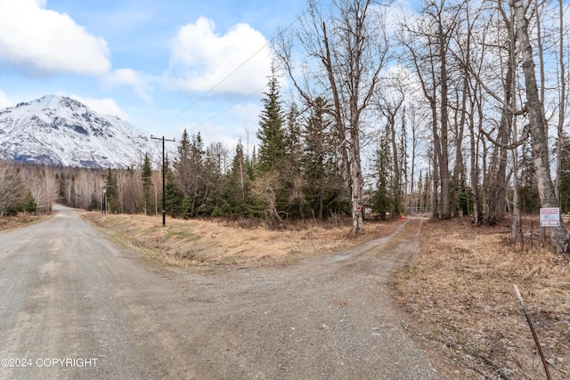 view of road featuring a mountain view