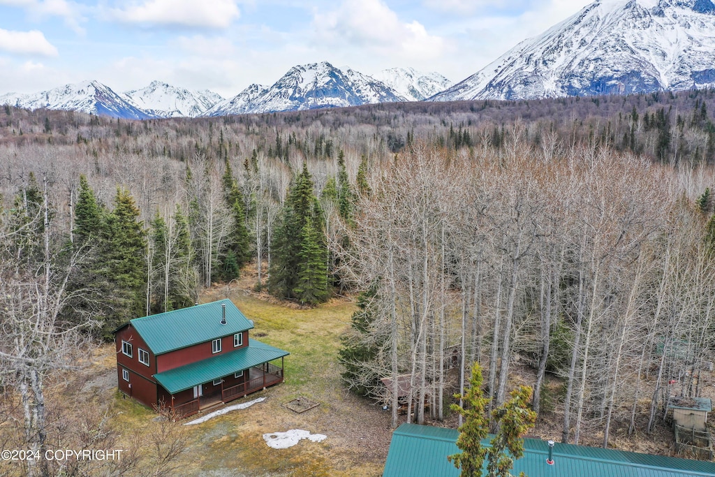 17861 E Chickaloon Rd, Chickaloon, AK 99674 - view of mountain feature