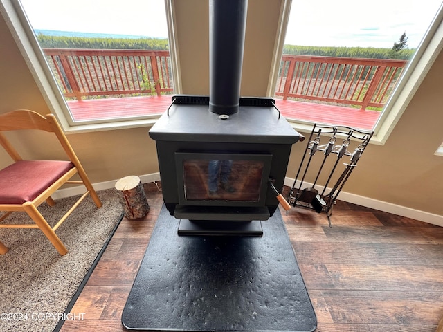 details featuring a wood stove, baseboards, and wood finished floors