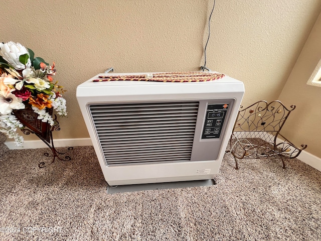 room details featuring baseboards, carpet flooring, a textured wall, and heating unit