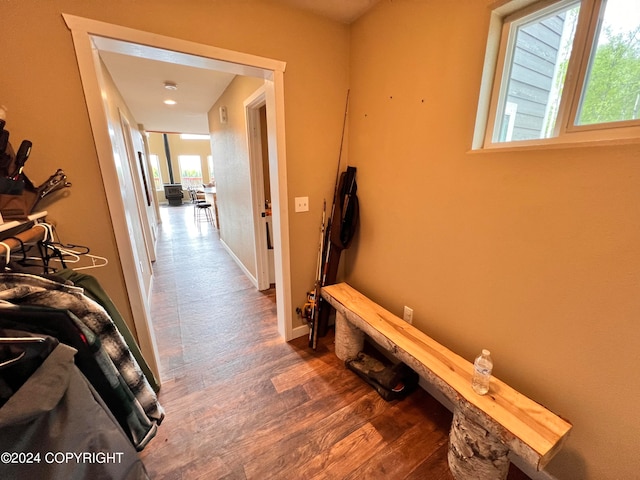 hall with a wealth of natural light, baseboards, and wood finished floors