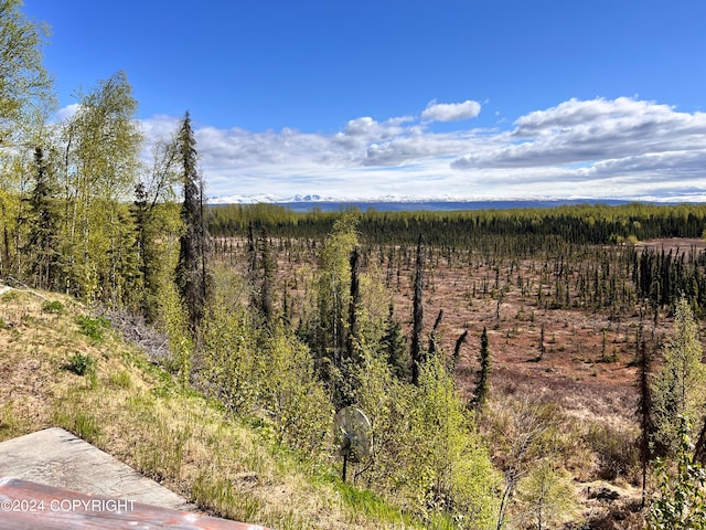 view of nature featuring a wooded view