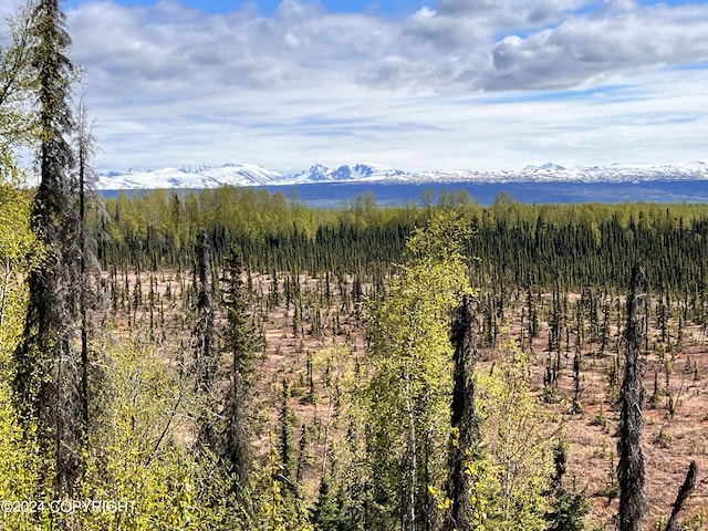 property view of mountains with a wooded view