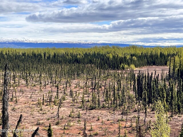 view of nature featuring a forest view