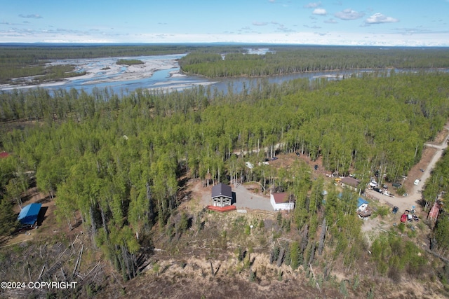 birds eye view of property with a water view and a forest view