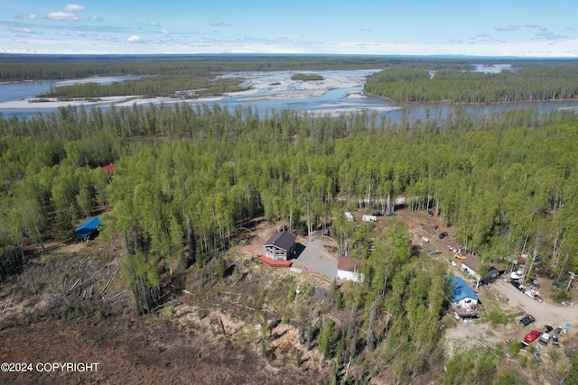 drone / aerial view featuring a water view and a view of trees