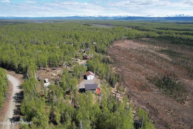 drone / aerial view featuring a mountain view and a view of trees