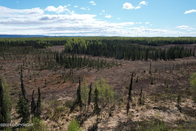 view of local wilderness