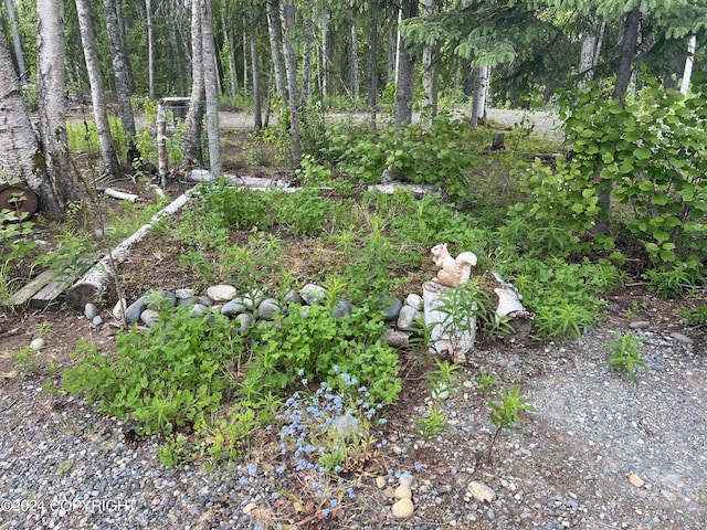 view of yard with a view of trees