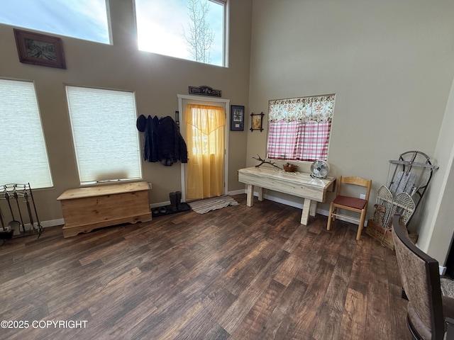 foyer entrance featuring a towering ceiling, baseboards, and wood finished floors