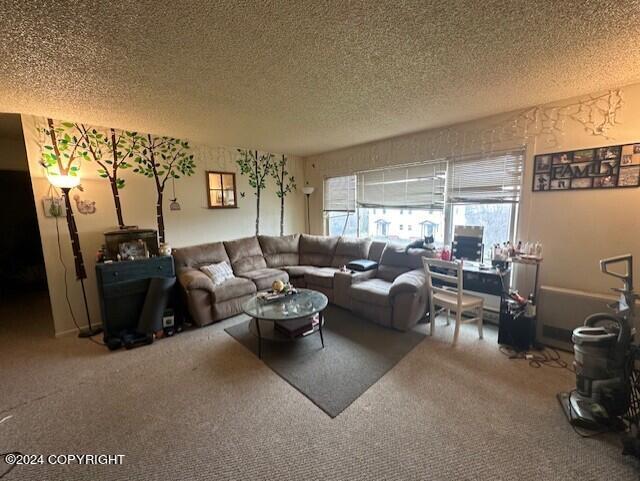 living room with a textured ceiling and carpet flooring