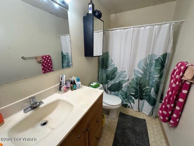 bathroom featuring vanity, toilet, and curtained shower