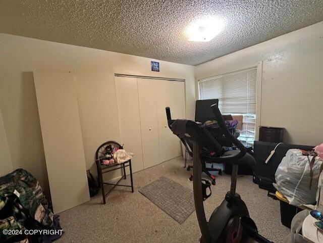 exercise room featuring light carpet and a textured ceiling