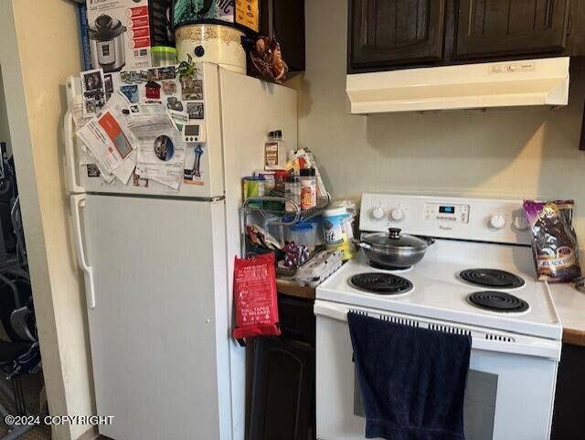 kitchen with dark brown cabinetry and white appliances