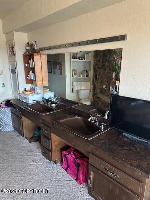 kitchen featuring light carpet, sink, and dark brown cabinets