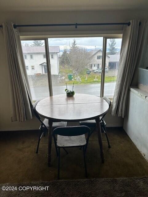 carpeted dining room with plenty of natural light