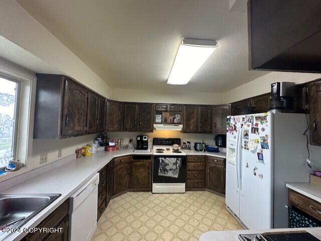 kitchen with dark brown cabinetry, sink, and white appliances