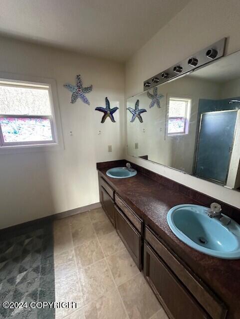 bathroom featuring vanity and a shower with shower door