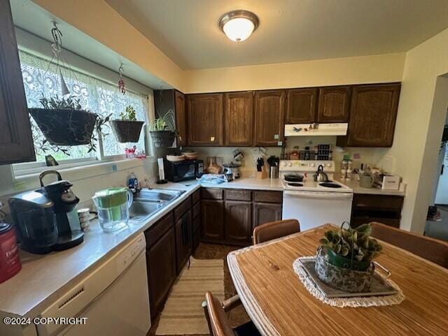 kitchen with dark brown cabinetry, pendant lighting, exhaust hood, and white appliances