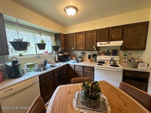 kitchen featuring dark brown cabinetry, sink, and white appliances