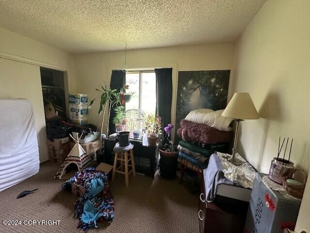 misc room with carpet floors and a textured ceiling