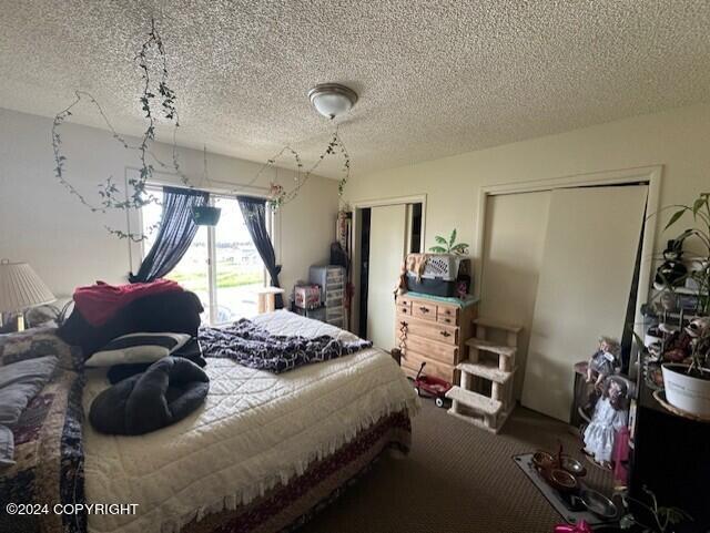 carpeted bedroom featuring a textured ceiling and two closets